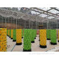 イチゴ水耕栽培システムガラス温室